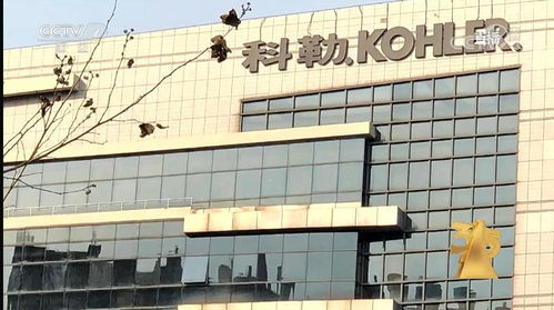 3·15第一枪 科勒卫浴“偷脸”的背后，人脸信息隐私保卫战如何打？