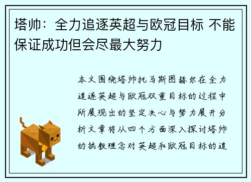 塔帅:全力追逐英超与欧冠目标 不能保证成功但会尽最大努力 塔帅:全力追逐英超与欧冠目标 不能保证成功但会尽最大努力